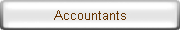 Accountants