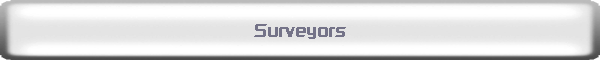 Surveyors