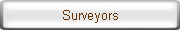 Surveyors