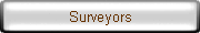 Surveyors